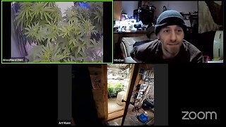 Dank Weednerd Culture Hangout #0.01