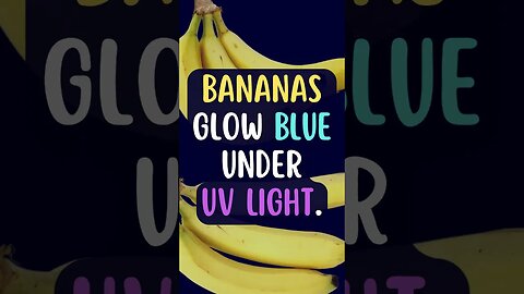 🍌Who Knew This Fact About Plants?#Shorts #ShortsFact #Plants #PlantFacts #banana #bananafacts #uv