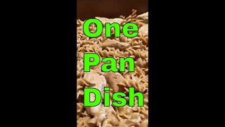 Easy Chicken and Sour Cream Casserole Recipe (One Pan Dish) #shorts