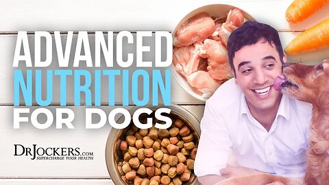 Advanced Nutrition for Dogs with Rodney Habib