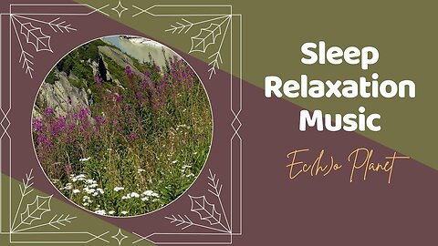 Unwind and Destress with Relaxation Music | Sleep Better with Soothing Sounds | Flowers Full Of Love