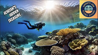 🌊 Embark on an Underwater Odyssey in West Bay Beach, Roatan, Honduras!