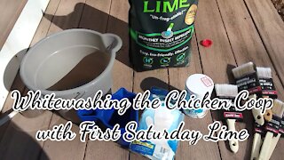 Whitewashing the Chicken Coop with First Saturday Lime