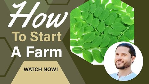 What You Need To Know About Starting a Farm | Grow Moringa Farms Tour | Plant City, Fl