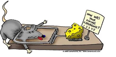 There's free CHEESE in a mouse TRAP