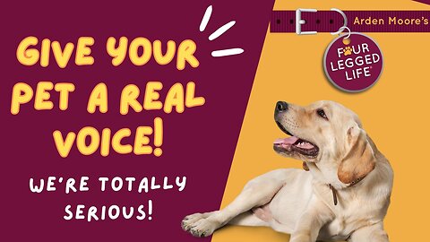 Give Your Pet a Voice! REALLY!!