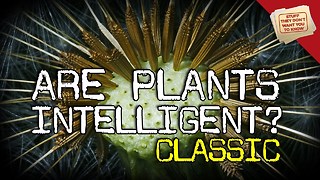 Stuff They Don't Want You To Know: Are plants intelligent? - CLASSIC