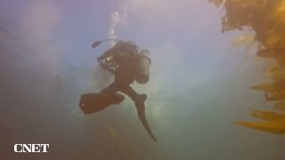 Apple Watch Ultra Scuba Diving with Oceanic Plus App