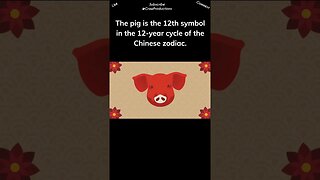 The Pig Holds a Place in the Chinese Zodiac #pig #shorts