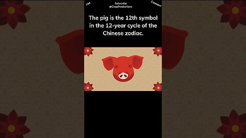 The Pig Holds a Place in the Chinese Zodiac #pig #shorts