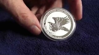 Wedge Tailed Eagle Coin News