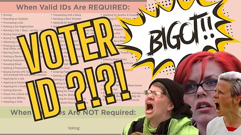 Are You a Bigot for Wanting Voter ID?