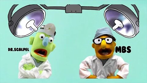 Muppet Surgery Guide to Surgery Scissors