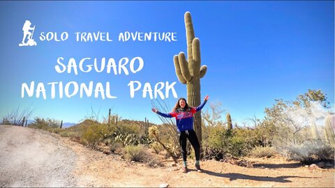 Saguaro National Park | Solo Travel | Car Camping