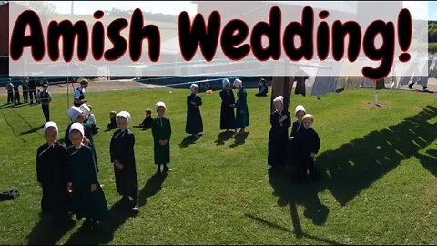 Amish Wedding