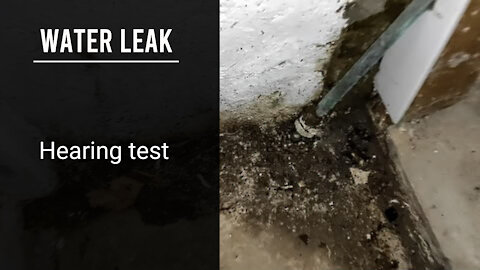Water leak hearing test - How soon can you hear the water leak?