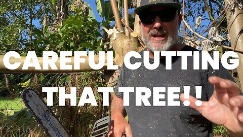 New Method For Cutting Trees Safely and Accurately