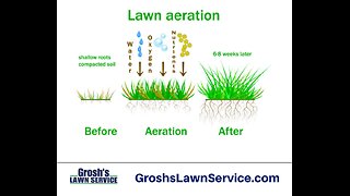 Lawn Aeration Greencastle Pennsylvania Lawn Care Service