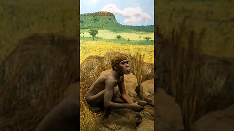 Afrika'nın Çeşitlilik Dolu Evrimsel Geçmişi: Homo bodoensis