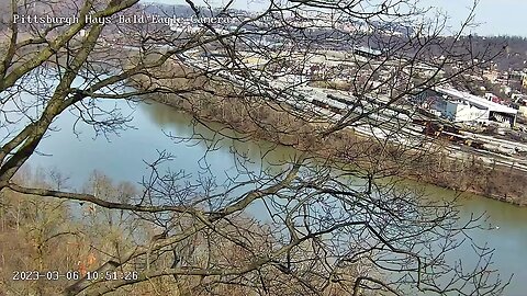 Hays Eagles Mom flies over Hays Nest 3623 1051AM