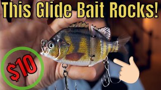 $10 Glide Bait - Is it worth it?