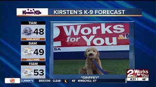 Kirstens K9 Forecast