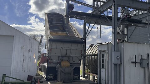 Unloading corn into grain bins