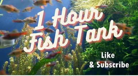 Virtual Fish Tank Aquarium Relaxing Water Sounds ⭐ 1 Hour ⭐Calming White Noise. Sleep, Meditation