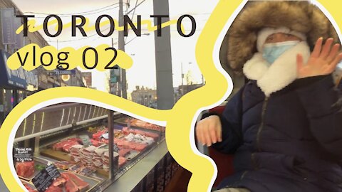 Butcher Shop and Cookies || Toronto Vlog ||