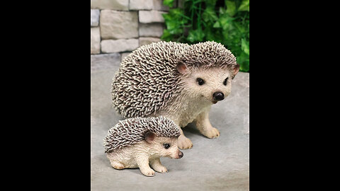 Cute baby hedgehogs in happy mood 😍 cuteness overload 🥰