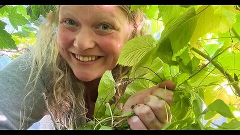 How To Clear The Weeds: Allotment Garden