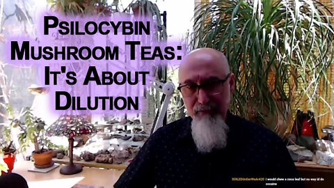 Psilocybin Mushroom Teas: It's About Dilution of Poison, Reducing Risk, It's About the Math [ASMR]