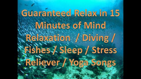 Guaranteed Relax in 15Minutes of Mind Relaxation / Diving / Fishes / Sleep / Stress Reliever / Yoga