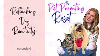 Rethinking Dog Reactivity | The Pet Parenting Reset, episode 9
