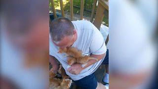 Man Feeds SEVERAL ADORABLE KITTENS