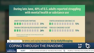 Some thrive while others suffer during pandemic