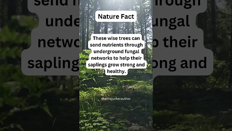 Surprising Nature Fact About Trees That Will Amaze You #shorts #nature #naturefacts