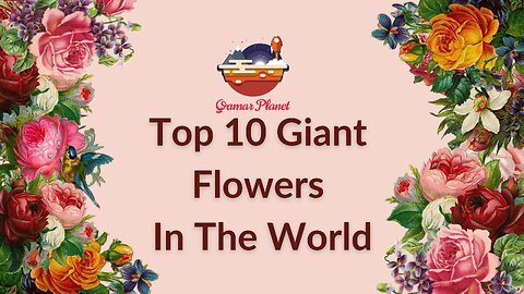 Top 10 Giant Flowers In The World