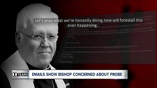 Possible criminal investigation of Diocese of Buffalo is "scary" to Bishop Malone, emails show