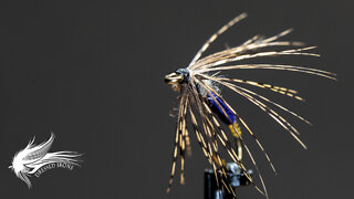 Tying Craven's Purple Soft Hackle - Dressed Irons