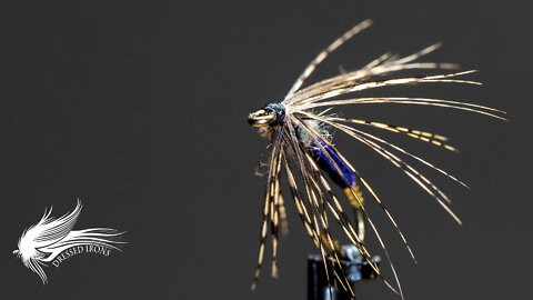 Tying Craven's Purple Soft Hackle - Dressed Irons