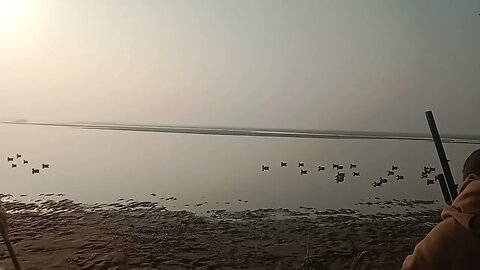 Murgabi Ka shikar Chenab River.