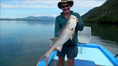 Big king threadfin are a welcome capture when fishing in north Queensland