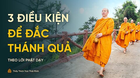 3 điều kiện để đắc Thánh quả Tu đà hoàn Phật dạy cách tu để chứng quả Thầy Thích Trúc Thái Minh