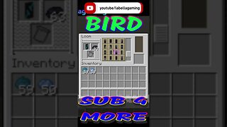 Bird Banner | Minecraft