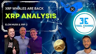 Ripple XRP whales 🐋 back again, Twitter payments threatened as Elon leaves, xrp technical analysis