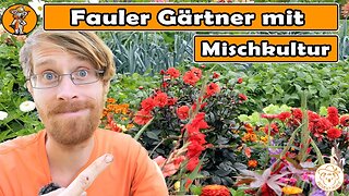 Schädlingsfreier Garten mit Mischkultur