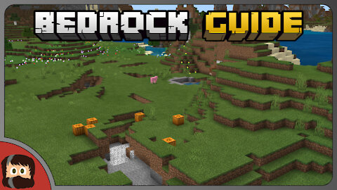 Starting A New World | Bedrock Guide EP 01 | Survival Tutorial Lets Play | Minecraft