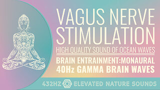 Vagus Nerve Stimulation MONAURAL 40Hz Gamma BWE Anxiety Hunger Depression Weight Gain Inflamation