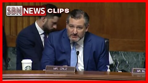 Ted Cruz Grills Dem Witnesses on Voter ID Laws - 3967